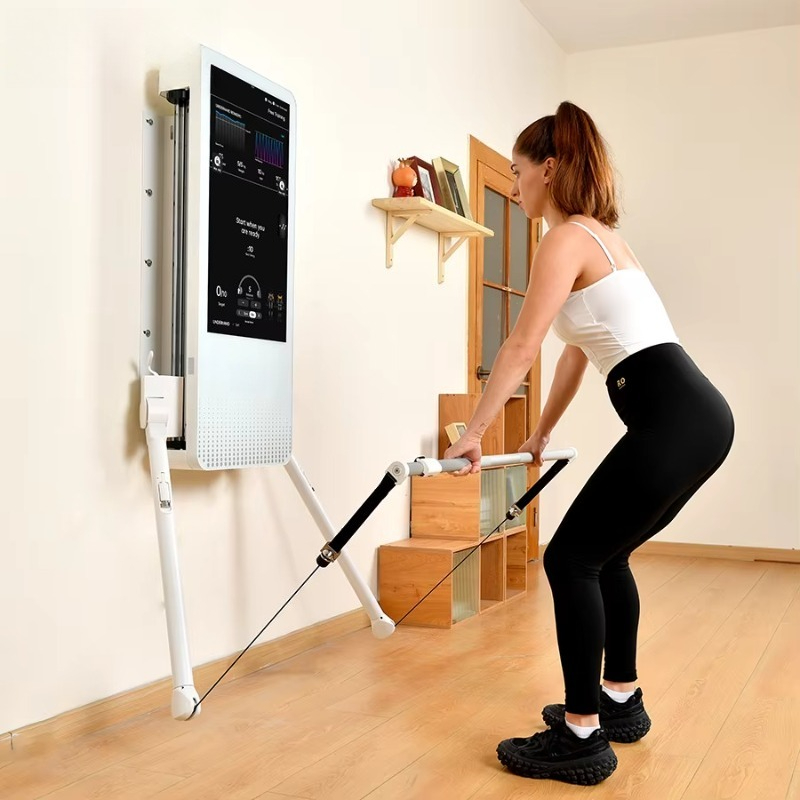Multifunctional Home Fitness E - Sports Equipment Wholesale review and price