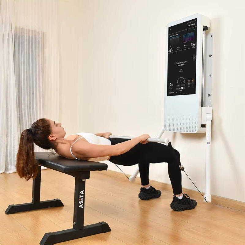 Multifunctional Home Fitness E - Sports Equipment Wholesale review and price