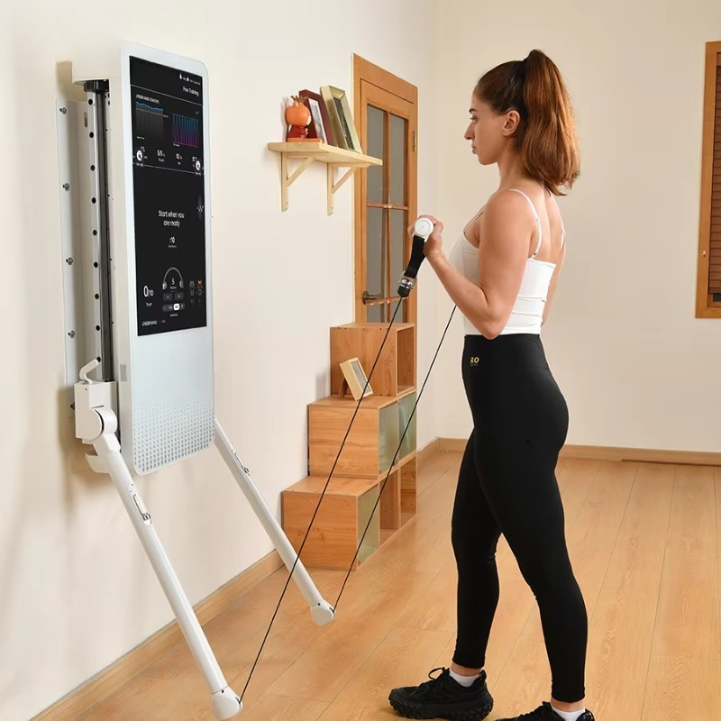 Multifunctional Home Fitness E - Sports Equipment Wholesale review and price